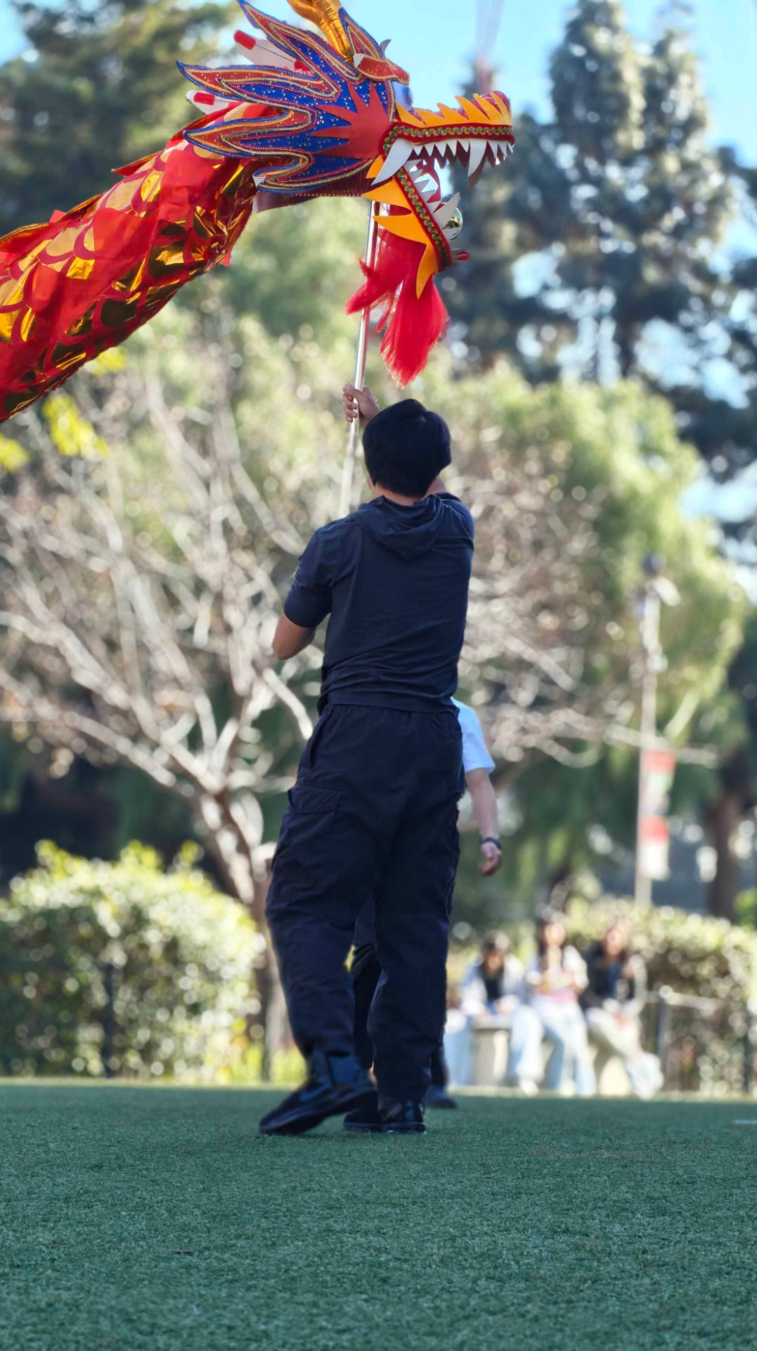 Lifting the dragon head